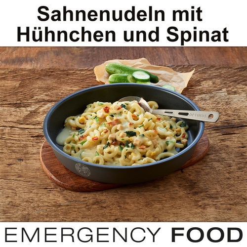 EMERGENCY FOOD Sahnenudeln mit Hühnchen und Spinat- MHD 15 Jahre